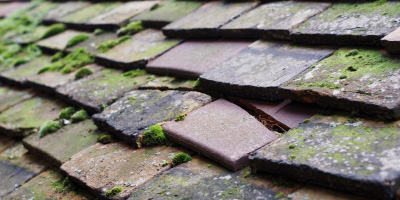 Kensworth roof repair costs